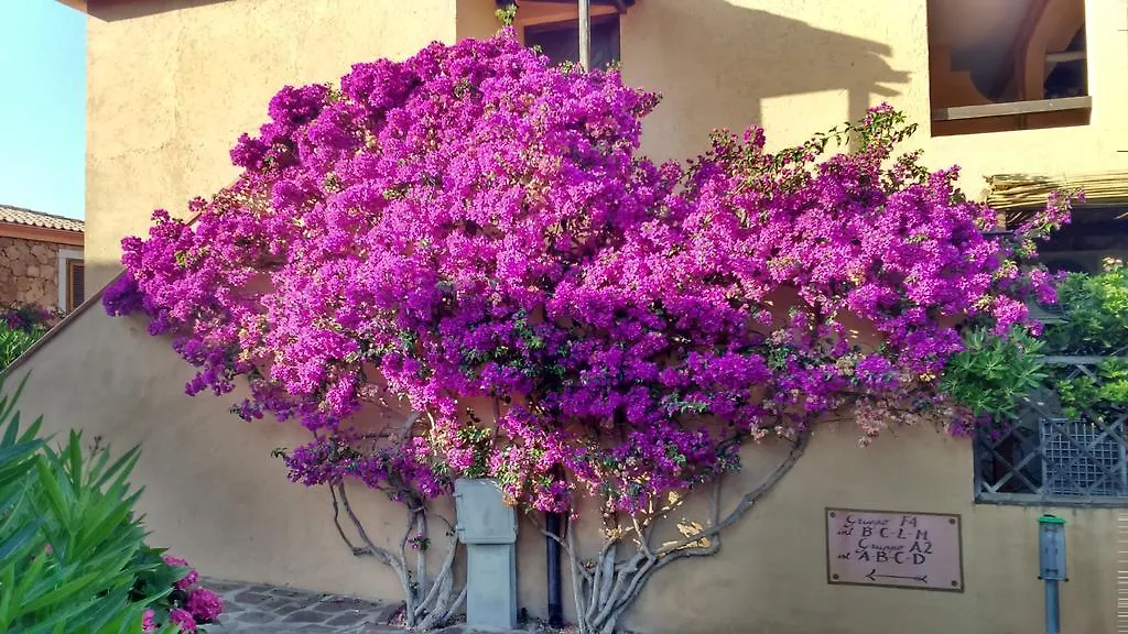 Appartamento Dany'S Home In Baia De Bahas Marinella  Italia